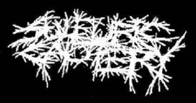 logo Sulfuric Cautery